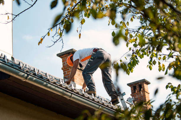 Best Storm Damage Roof Repair  in Forest Heights, TX