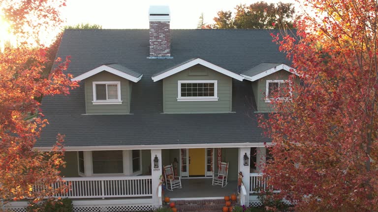 Best Asphalt Shingle Roofing  in Forest Heights, TX