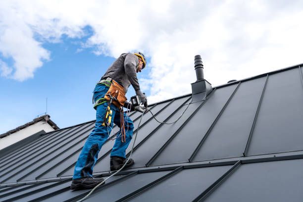 Best Steel Roofing  in Forest Heights, TX